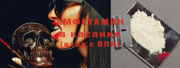 гидра Кодинск