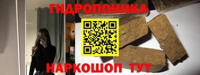 прущие грибы Гагарин