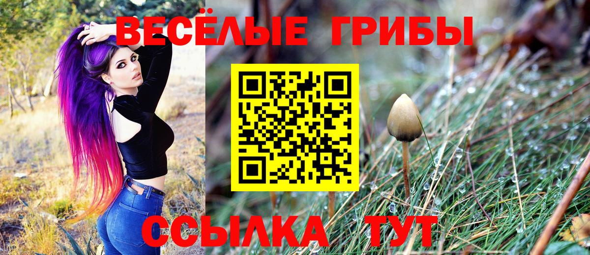 Псилоцибиновые грибы ЛСД Кириши