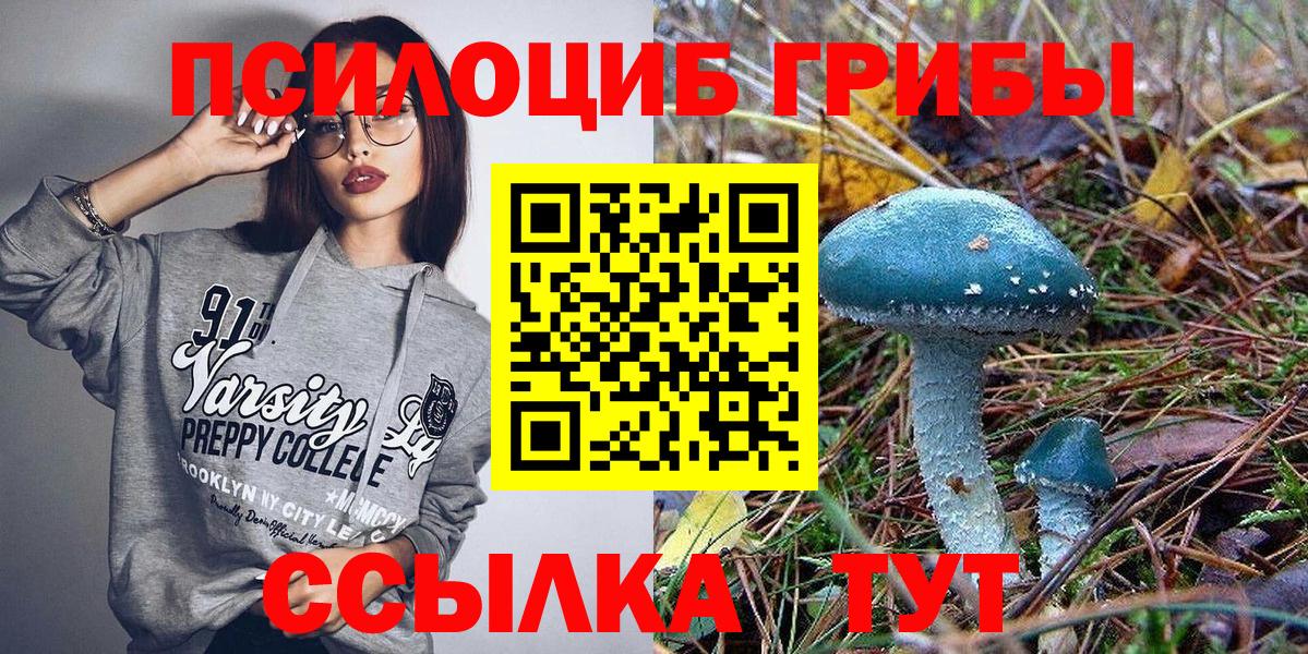 Галлюциногенные грибы Psilocybe  Галлюциногенные грибы Magic Shrooms  Вход с VPN  Кириши 