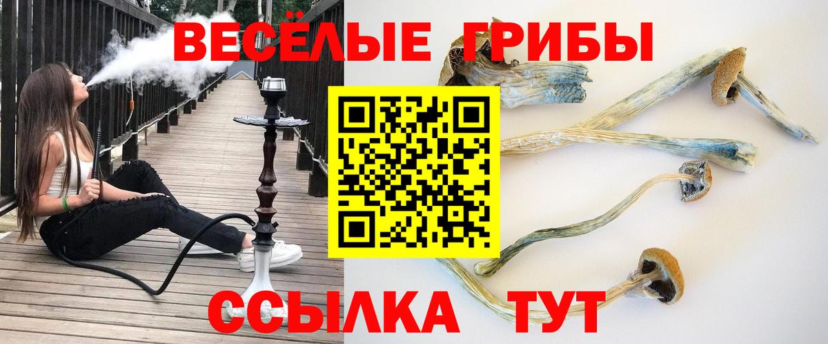 Псилоцибиновые грибы GOLDEN TEACHER  Кириши 